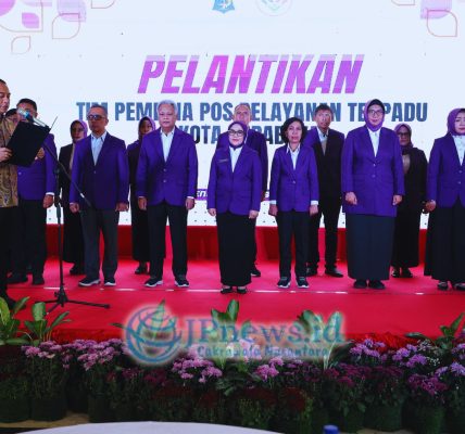 Tim Pembina Posyandu