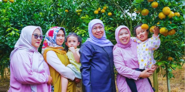 Jeruk Siam Tutur Pasuruan