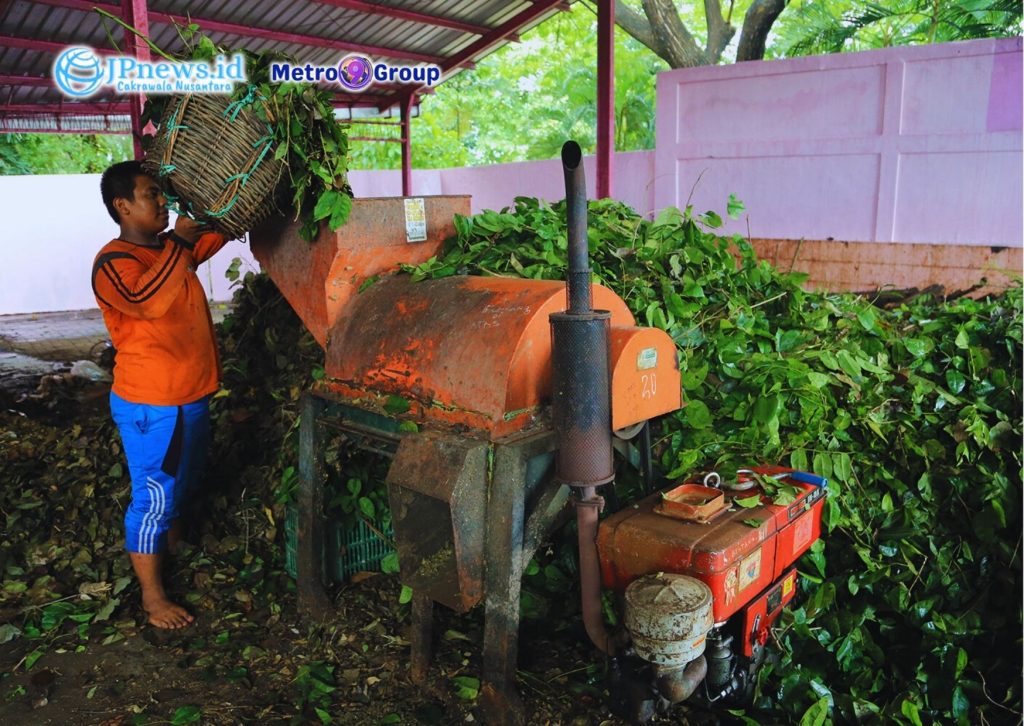 Olah Sampah Organik Pangkas Biaya Angkut Rp6,73 M per Tahun